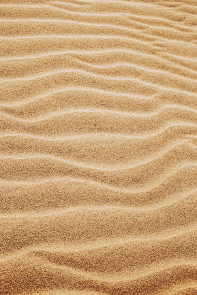 From above of fine wavy yellow sand spreading on smooth surface in hot sunny summer day